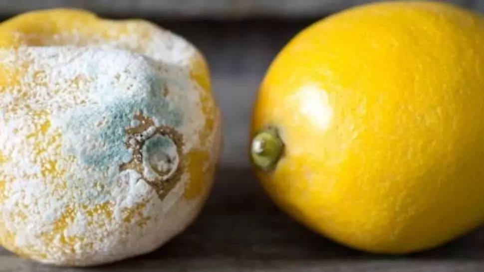Lămâi tratate cu substanțe cancerigene, vândute în magazinele din România