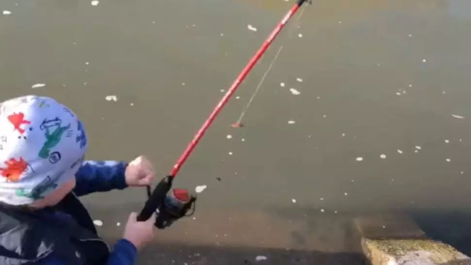 VIDEO fabulos: Un puști de 5 ani a pescuit un șalău de 10 kg, în Bega