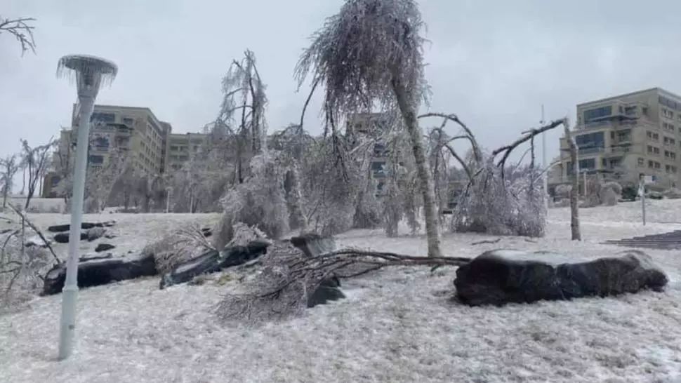 Stare de urgență într-un oraș din Rusia: ploaia înghețată a blocat toată activitatea