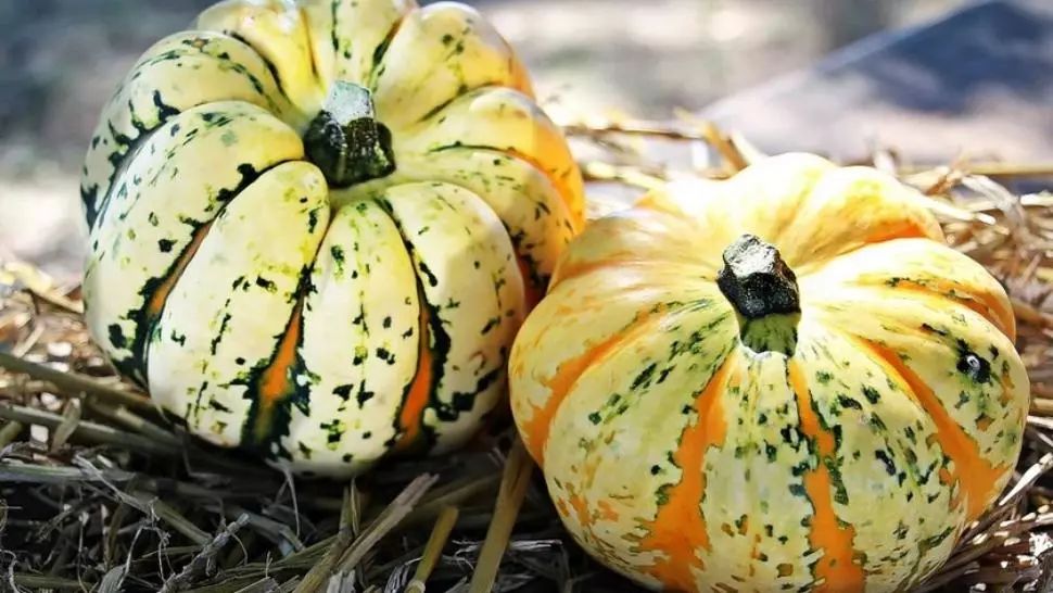 Prognoza meteo pe o lună. Schimbări radicale: vremea până pe 12 decembrie