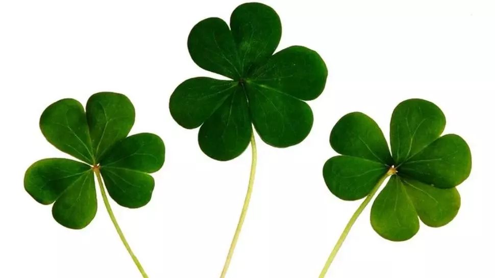 Horoscop 21 noiembrie. Simți că a dat norocul peste tine. Zodia care cunoaște o ascensiune fulminantă