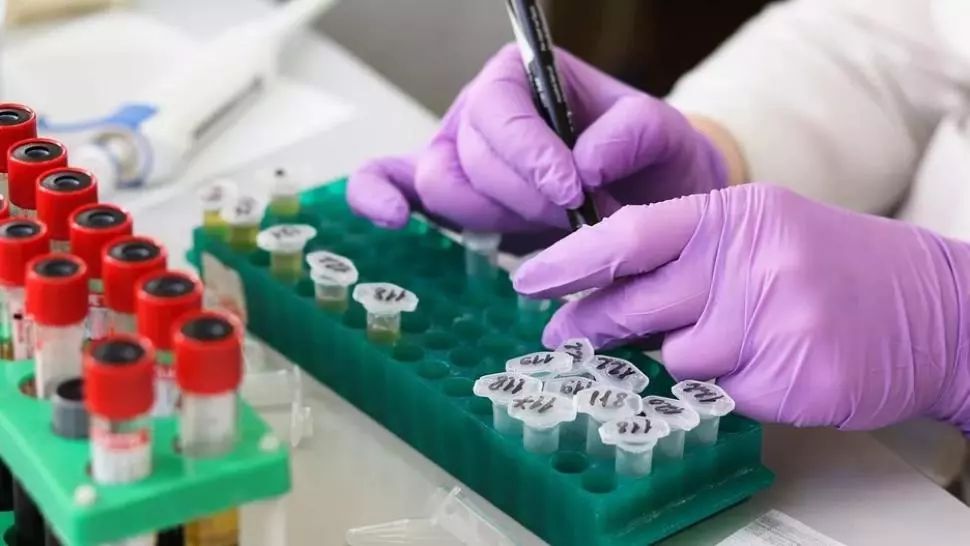 AstraZeneca, unul din producătorii vaccinului anticoronavirus, ar fi fost atacată cibernetic de hackeri din Coreea de Nord