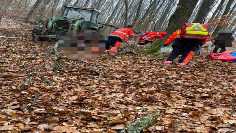 FOTO/ Tragedie într-o pădure din Bistriţa-Năsăud! Un bărbat a murit după ce a fost lovit de un copac rupt