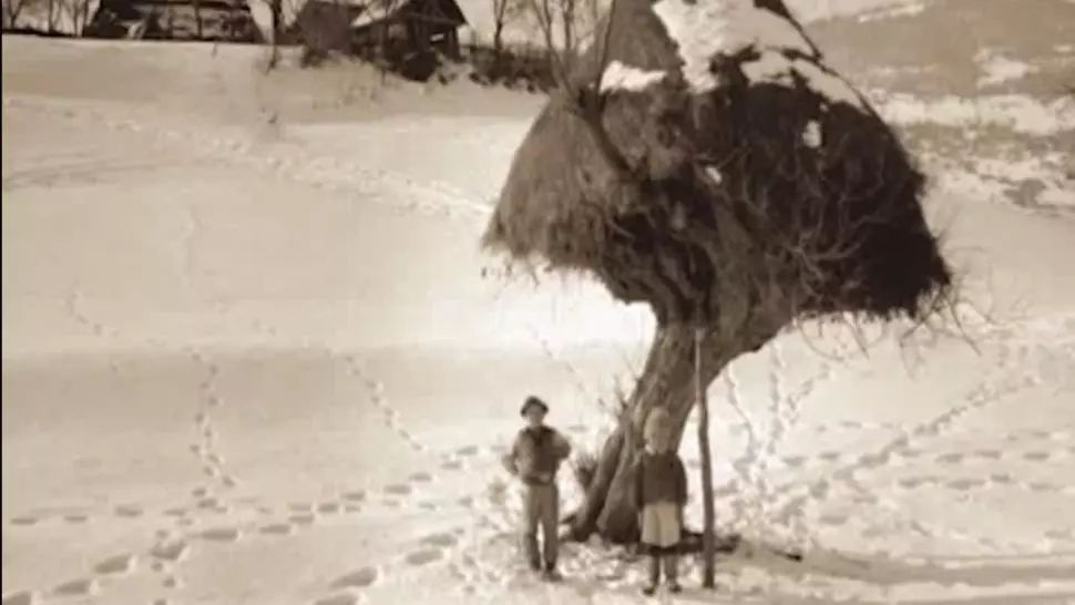 Imagini de POVESTE cu iernile de altădată, din România - GALERIE FOTO
