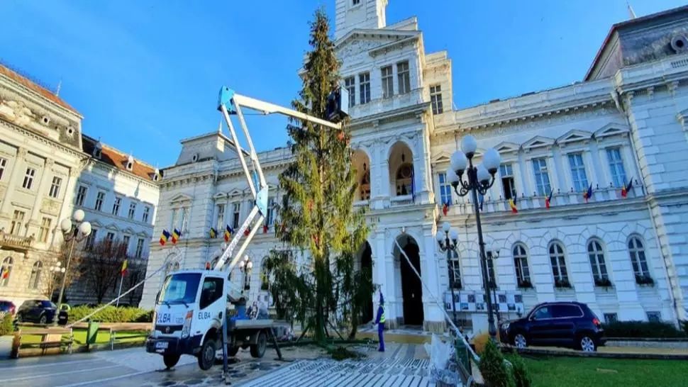 Bradul instalat de primărie în centrul Aradului, înlocuit după un val de critici și ironii
