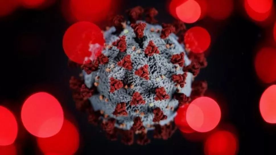 Noua tulpină de coronavirus din Marea Britanie, prezentă în Germania încă din noiembrie