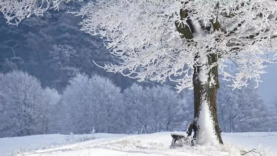 Atenționare meteo. COD GALBEN de ninsori, strat consistent de zăpadă și viscol - HARTA cu cele mai afectate zone