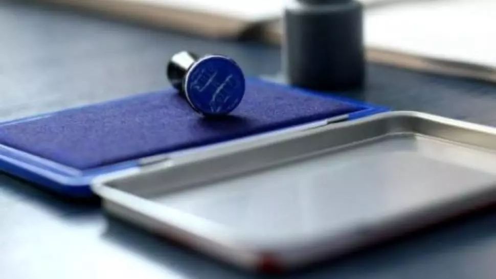 Alegeri parlamentare 2020. Vot în diaspora. S-au deschis urnele și în Canada și Statele Unite