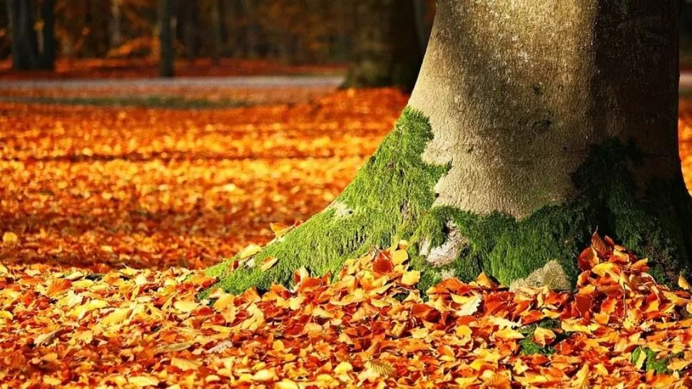 Prognoza 30 decembrie. Vreme neobișnuit de caldă: temperaturi de 17 grade!