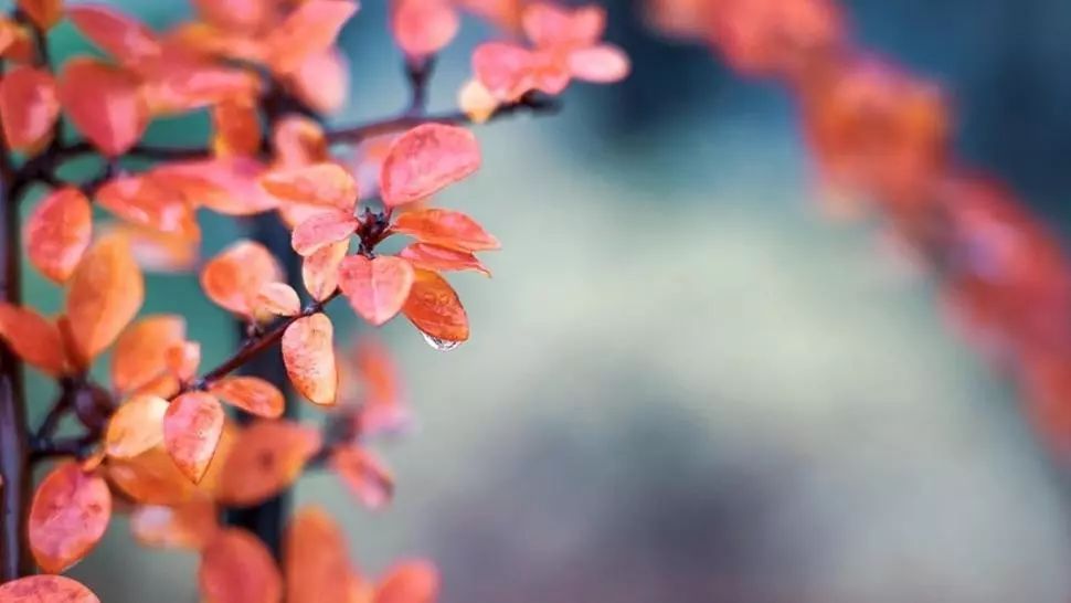 Prognoza meteo 19 decembrie. Vremea, tot mai caldă, dar mohorâtă. Cum va fi la munte