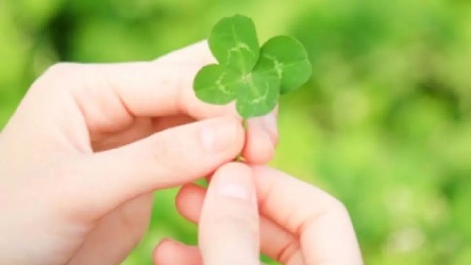 Horoscop 12 decembrie. Zodia care trage lozul câştigător! Din unde dă, primeşte însutit!