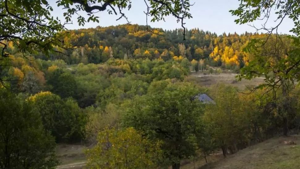 România, acaparată de caracatița Mossadului. Cine se află în spatele retrocedărilor cu cântec și cum au ajuns proprietățile românești pe mâna străinilor   