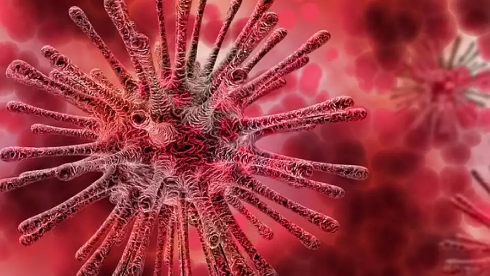 Tragedia unui cuplu american: Și-au luat toate măsurile de protecție împotriva COVID, dar au făcut o singură alegere greșită, care le-a adus SFÂRȘITUL