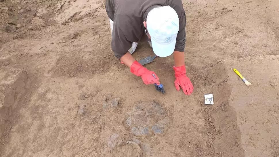 FOTO Descoperire importantă din epoca bronzului lângă Zalău. La ce concluzie au ajuns istoricii