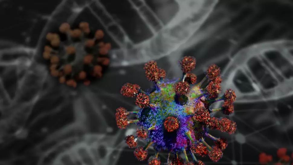 Noile tulpini ale coronavirusului se răspândesc cu o viteză alarmantă - raport OMS