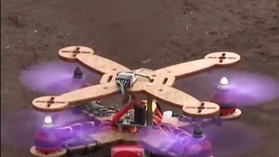 VIDEO | Drona din frunze de ananas - invenția ecologică surprinzătoare din Malaezia. La ce înălțime poate zbura