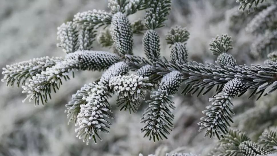 ALERTĂ METEO. Val de aer polar peste România: temperaturi de îngheț, unde lovește GERUL