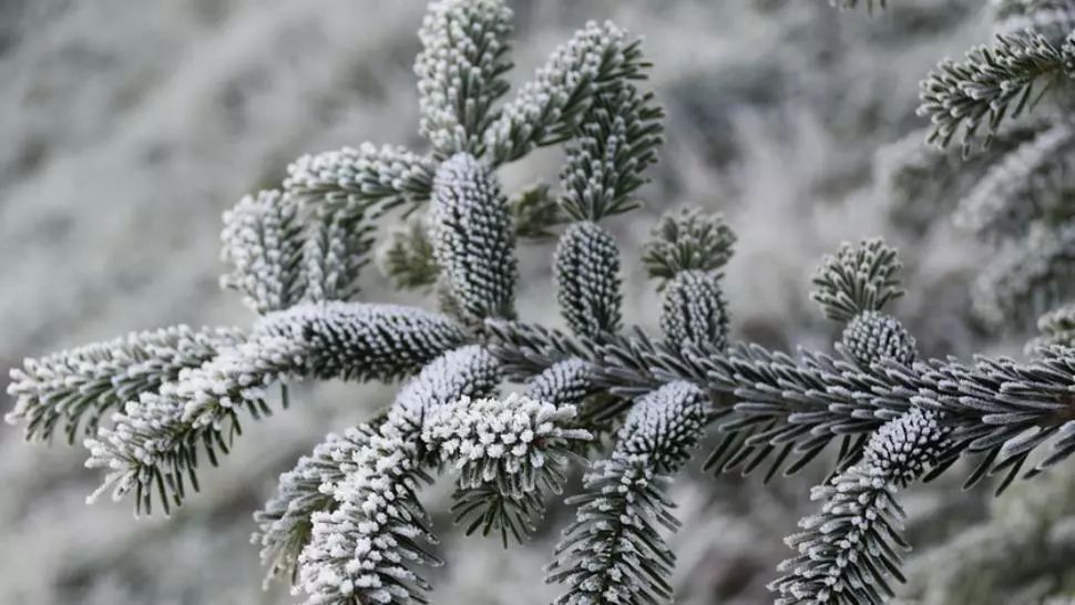 Prognoza meteo 25 ianuarie. Vremea, în răcire: vânt puternic în toată țara