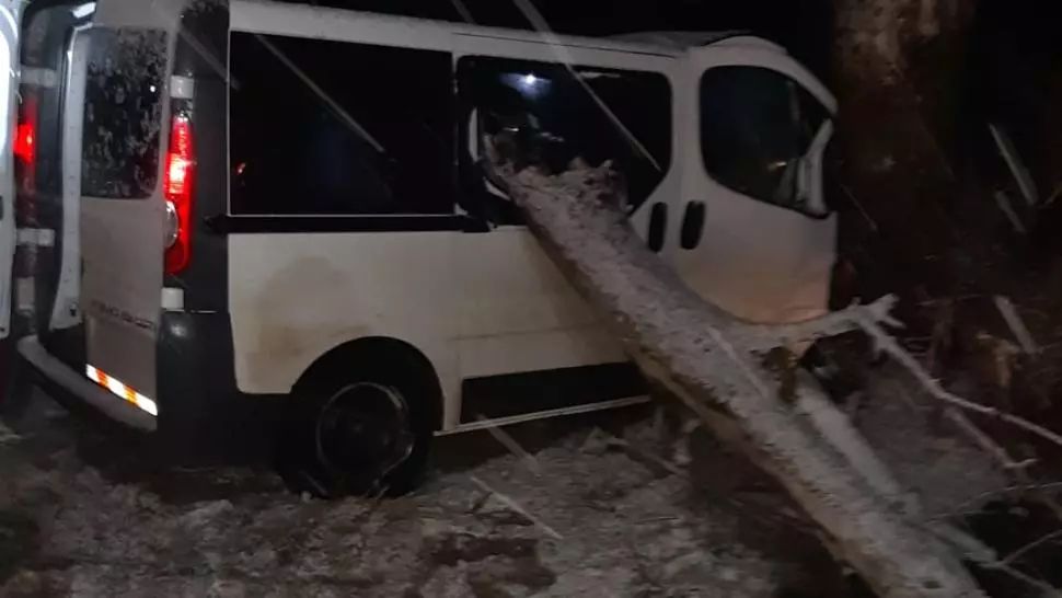 FOTO Accident în Teleorman: Un bărbat a intrat cu mașina într-un copac de pe marginea carosabilului - Victima are multiple traumatisne