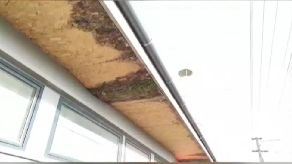 Bazele sportive trecute în grija administrațiilor locale, bani aruncați pe apa sâmbetei. Ce RISCURI prezintă astfel de construcții