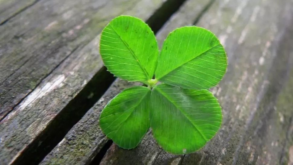 Horoscop 16 ianuarie. Singura zodie favorizată de astre 