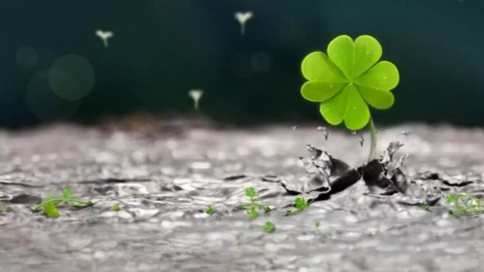 Horoscop 12 ianuarie. O zodie își îmbunătățește simțitor câștigurile financiare