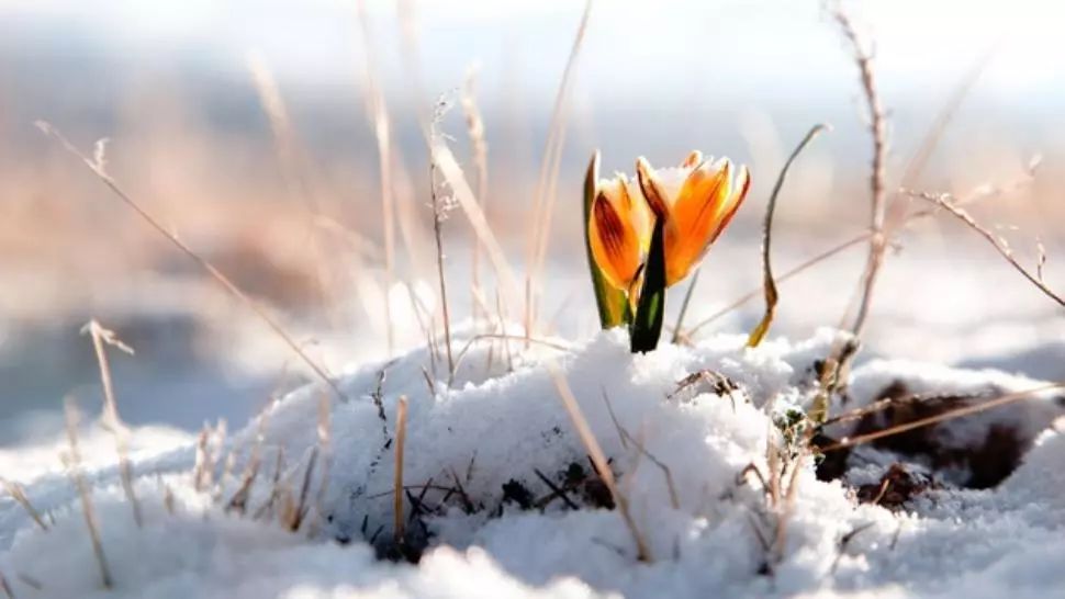 Prognoza meteo pe o lună. Schimbări radicale: temperaturi de primăvară. Vremea până pe 15 februarie 