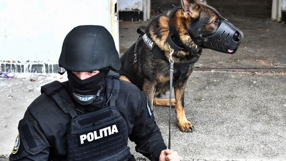 O fată de 13 ani, agresată de trei colege de școală, în județul Bacău