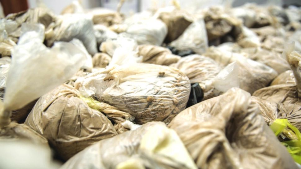 Captură RECORD într-un port din Olanda: 1,5 tone de heroină în valoare de 45 de milioane de euro. UNDE erau ascunse drogurile