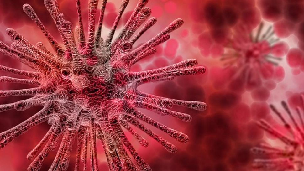 CÂND ai imunitate la COVID-19 după vaccinarea AstraZeneca, Pfizer și Moderna - CÂTE zile aștepți până la apariția anticorpilor