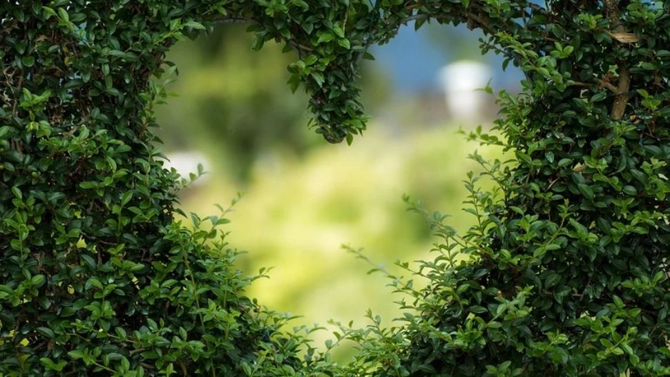 DRAGOBETE 2021. Singura zi din an în care îți poți afla viitorul în dragoste. GESTUL care îți aduce iubirea veșnică 