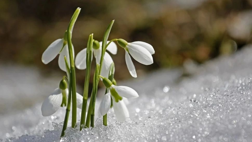 Vremea 1 martie - Temperaturi anormale, prognoza actualizată pentru fiecare zonă