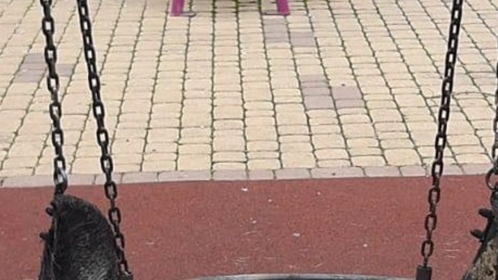 FOTO Imagine șocantă postată de Robert Negoiță, de la un loc de joacă din Sectorul 3