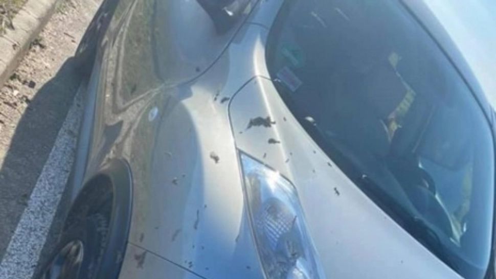 Surpriză uriașă pentru o femeie, în parcare: ce a găsit pe mașina murdară - FOTO