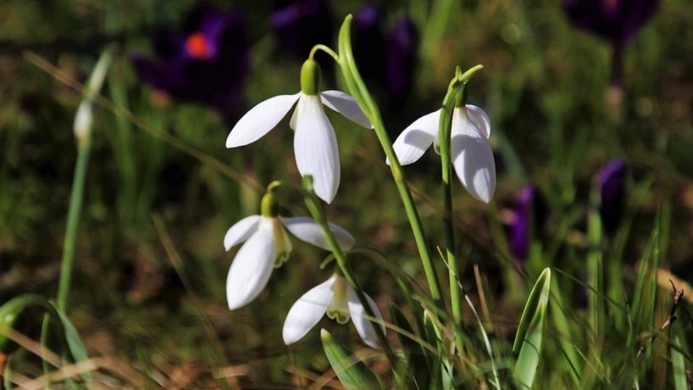 Temperaturi de -17 grade, în România. Când se încălzește