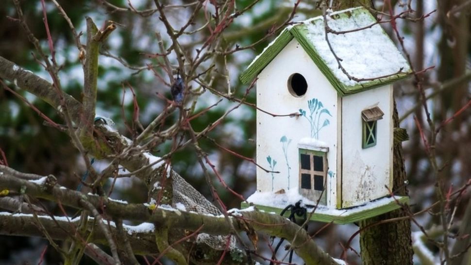 Vreme deosebit de caldă în București. Prognoză specială - la cât vor ajunge temperaturile 