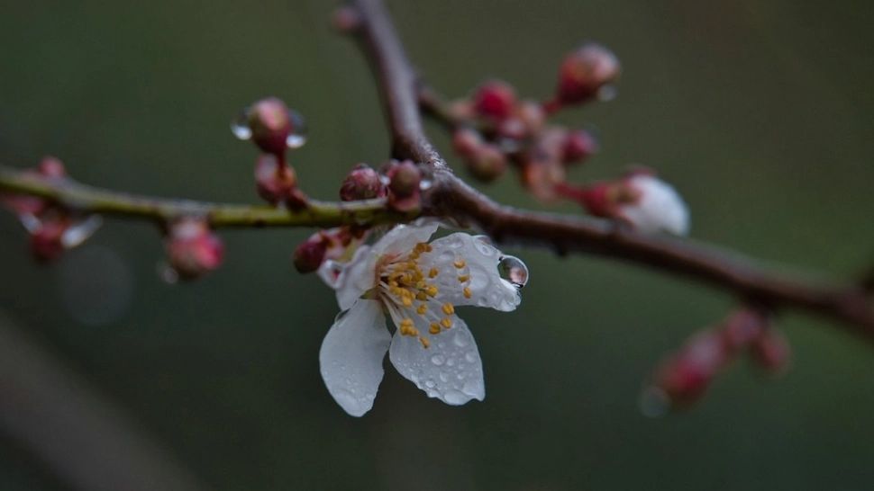 Prognoza meteo 26 februarie. Vremea, într-un proces de încălzire - temperaturile urcă la 22 grade