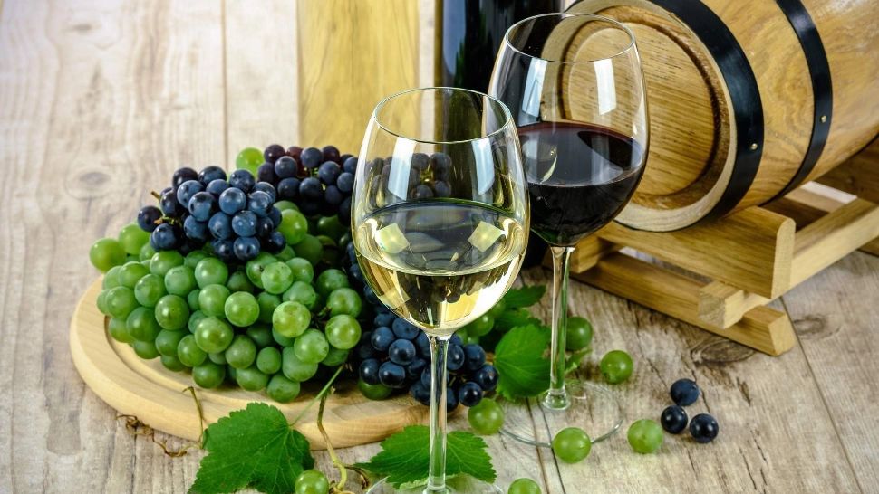 VIDEO | Teza de doctorat dată în...vin, iar mai apoi așezată în beci