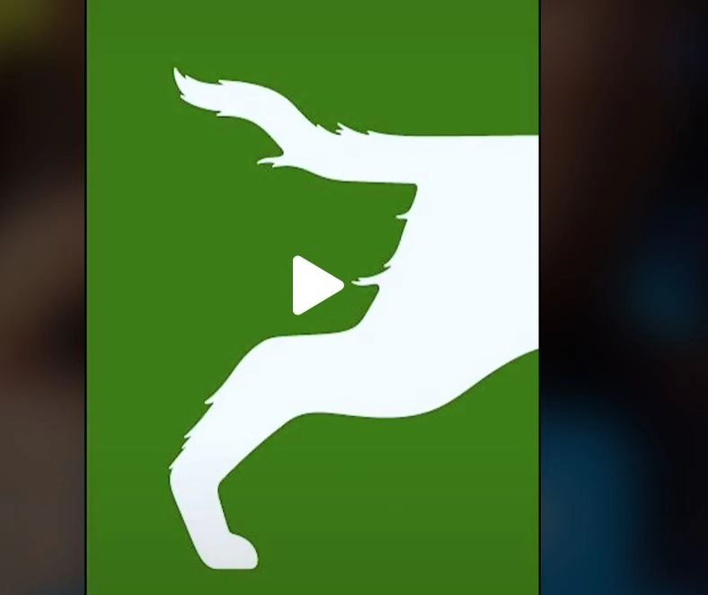 VIDEO – Test psihologic genial – Ceea ce vezi prima oară în această imagine arată un lucru decisiv despre personalitatea ta