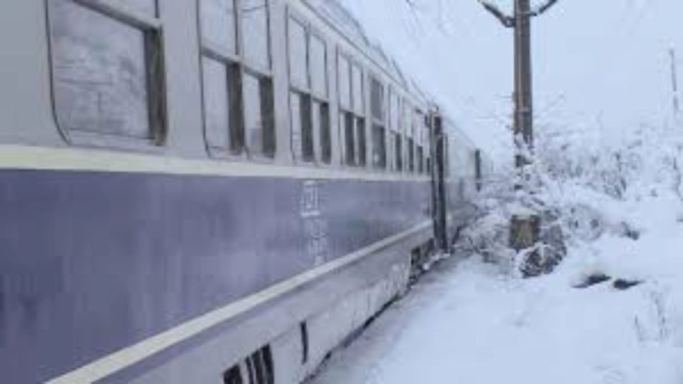 Tren blocat de mai multe ore din cauza zăpezii și pomilor căzuți pe șină - Mărturia unui călător blocat: "A fost oprită căldura. Stratul de zăpadă nu e consistent"