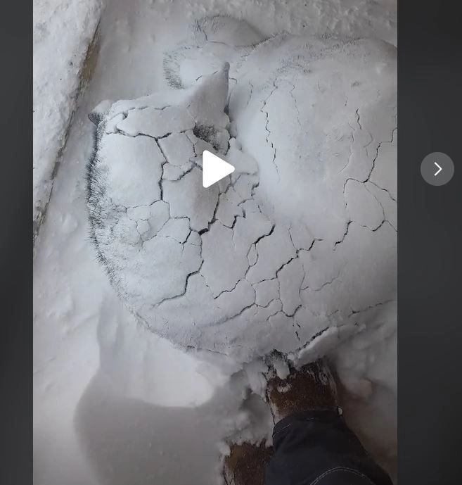 VIDEO – A văzut ceva ciudat în zăpadă. Când a dat cu piciorul să verifice, a fost surprinsă de ce a putut să găsească