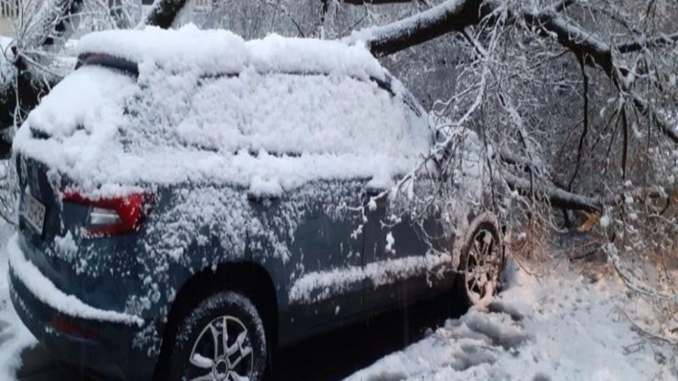 Vremea a făcut ravagii în județul Brașov: Copaci căzuți pe case și mașini, curentul electric întrerupt și transportul în comun afectat