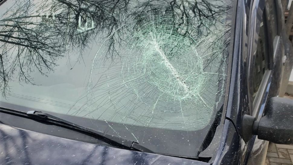 Șeful Ocolului Silvic Breaza, lovit de un individ care a făcut un scandal și distrugeri în sediul instituției publice - Angajați amenințați FOTO