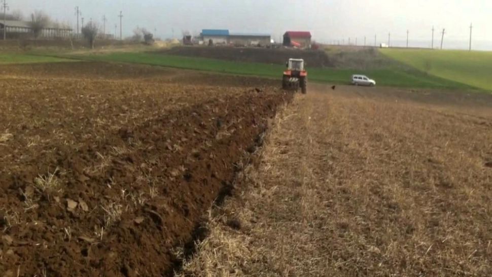 Descoperire ȘOCANTĂ, pe un câmp din apropierea Timișoarei. CE a găsit un localnic, plecat la arat