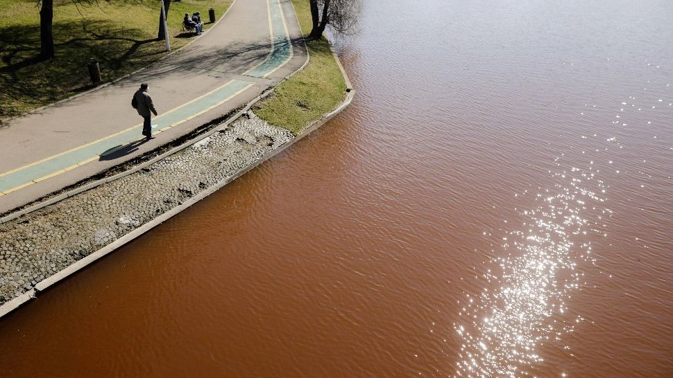 BOMBĂ ecologică în IOR! Lacul din parcul bucureștean, colorat în roșu de câteva săptămâni 