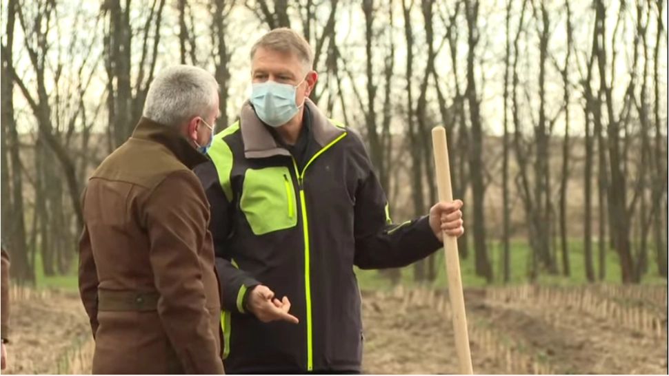 VIDEO Președintele Klaus Iohannis a dat startul campaniei de împădurire în zona deşertificată din sudul României