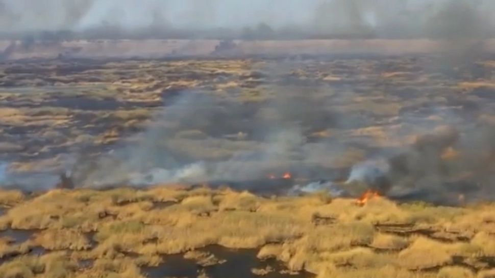 VIDEO Arderea vegetației, interzisă în Deltă. În caz contrar se vor aplica AMENZI dure 