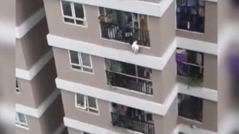 VIDEO MIRACOLUL care i-a salvat viața unei fetițe de 2 ani, din Vietnam: Un curier a reușit să o prindă în brațe după ce a căzut de la etajul 12!