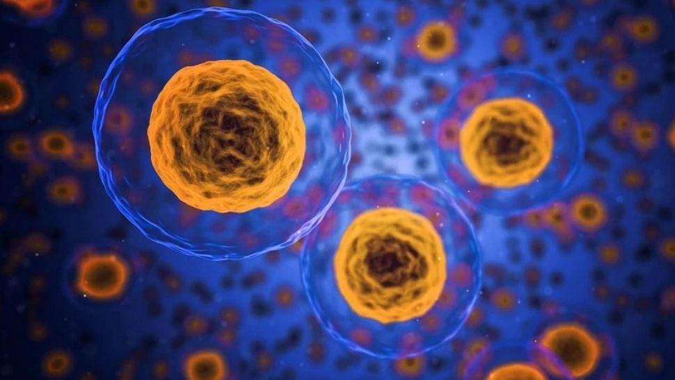 Lista alimentelor care hrănesc celulele canceroase și provoacă inflamații grave în organism