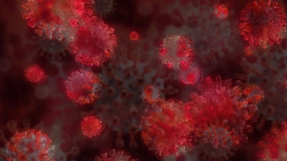 Semnal de alarmă al medicilor - Urmările infectării cu tulpina sud-africană la cei vindecați și CÂND va fi VÂRFUL epidemiei COVID-19